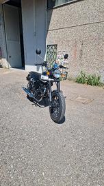 Mash Seventy Five 125 - 2017