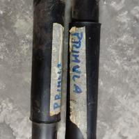 Ammortizzatori posteriori per Autobianchi Primula