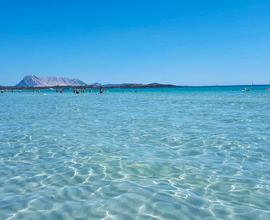 San Teodoro, Sardegna monolocale per ragazzi