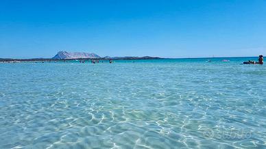 San Teodoro, Sardegna monolocale per ragazzi