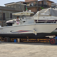 Zaniboni 270 blutime perfetto