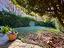 Immagine 16
