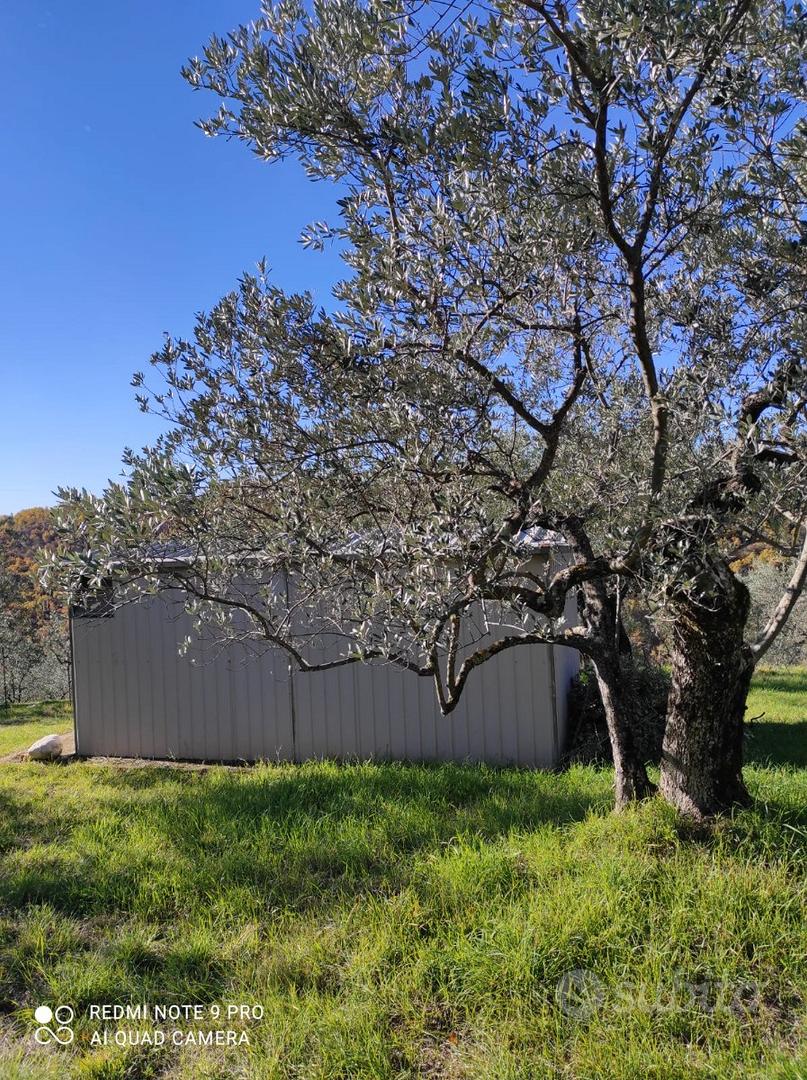 Terreno Agricolo Colleberardi - Vista 5