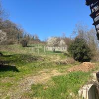 COMPLESSO RURALE EDILIZIO - INVESTIMENTO - ZONA CO