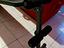 Immagine 2