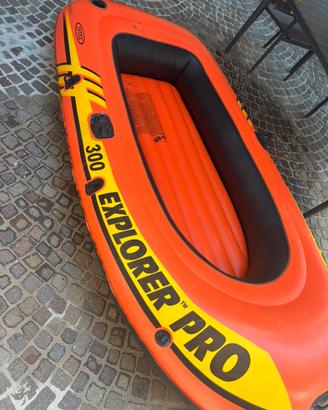 Intex Explorer Pro 300