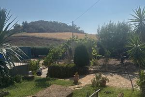 Aidone: tenuta agricola con arredi e terreno