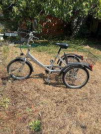 Bicicletta con rimorchio, marca Sempion