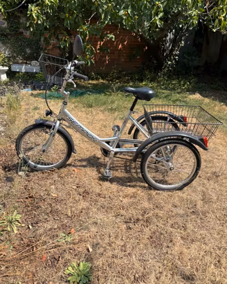 Bicicletta con rimorchio, marca Sempion