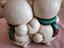 Immagine 4