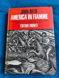 John Reed, America in fiamme