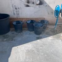 Mastello lt 40 vaso giardino secchio edile