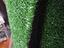 Immagine 12