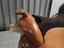 Immagine 4