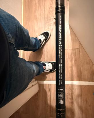 Canna da pesca daiwa ninja evolution