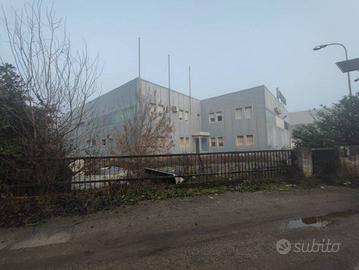 Immobile in asta di 2817 m² a Fiesso Umbertiano
