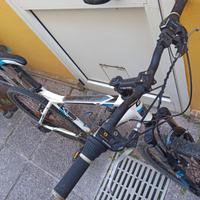 MTB Genesis