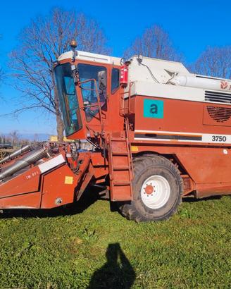 Mietitrebbia Laverda 3750 completa di barre