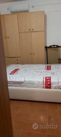Camere