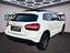 Immagine 7