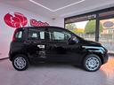 fiat-panda-1-0-firefly-s-s-hybrid-pandina