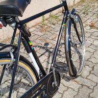 bicicletta da uomo 