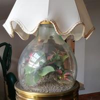 Acquario con Lampada ed Aeratore e mangimi pesci