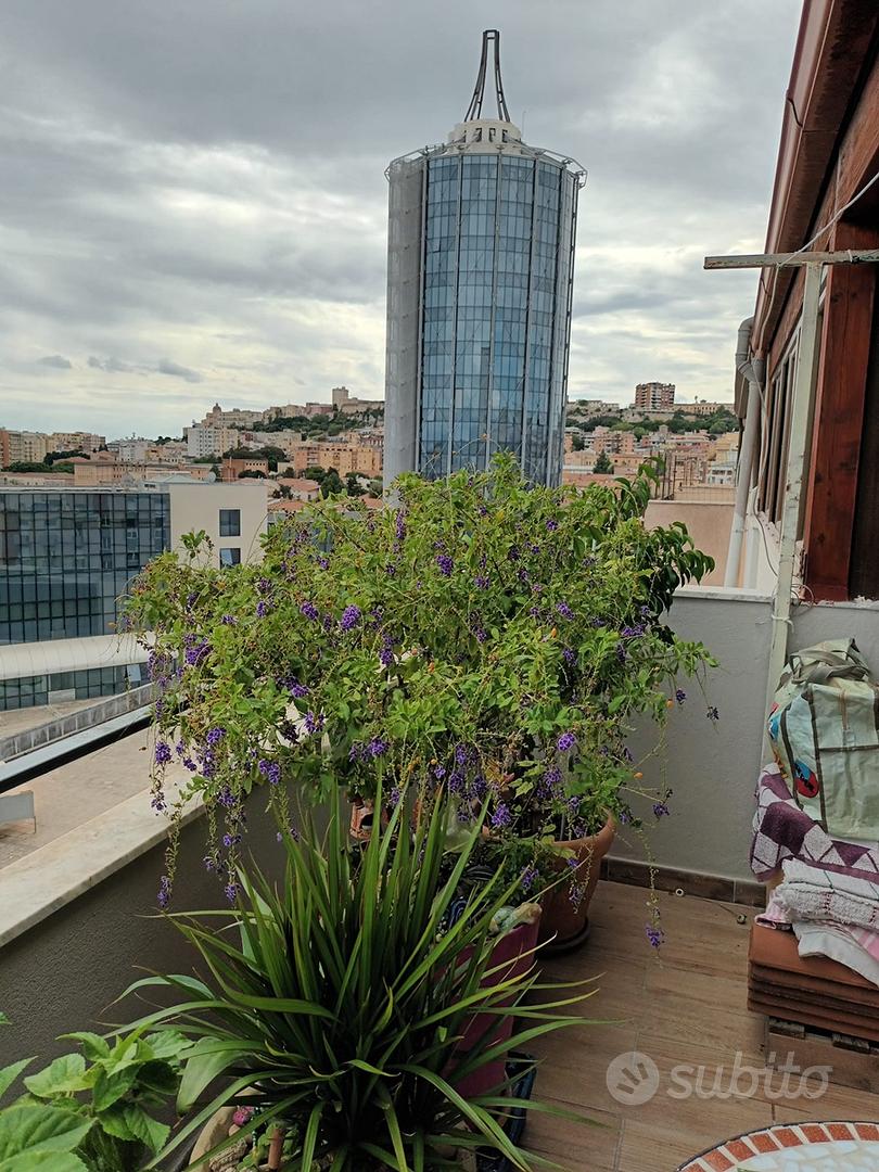 Appartamento – Cagliari, Sant'Avendrace, Sant'Avendrace-Santa Gilla - Altro