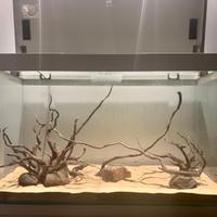 Acquario 200 L  | completo + accessori