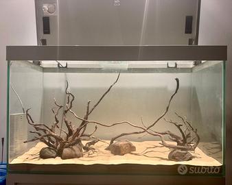 Acquario 200 L  | completo + accessori