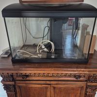 Acquario 60 litri