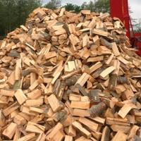 legna da ardere stufa camino rovere robinia 