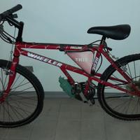 Bici MTB Wheeler Pro Line 2020