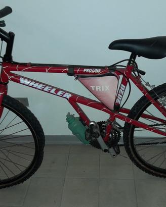 Bici MTB Wheeler Pro Line 2020