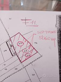 Terreno nel Monferrato