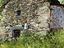 Immagine 6
