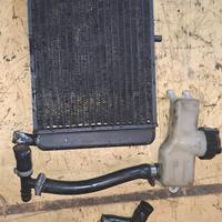 radiatore aprilia af1 125