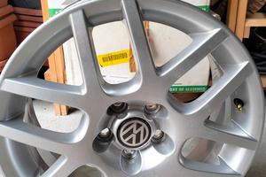 Cerchi in lega ed Antineve