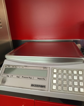 Bilancia professionale