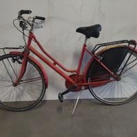 Bicicletta da 26