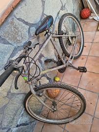 Mountain bike entry-level