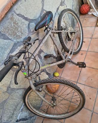 Mountain bike entry-level