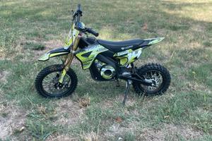 ECO TIGER CROSS BIKE 1100W 36V 12/10 LITHIUM