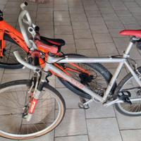 BICI ADULTO IN ALLUMINIO 