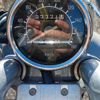 Yamaha virago 535 iscritta FMI