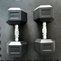 Coppia di manubri 22,5 Kg