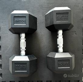 Coppia di manubri 22,5 Kg