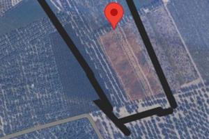 3,13 ha VIGNETO e ULIVETO via Canosa