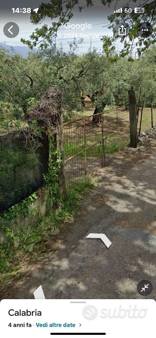 Terreno agricolo uliveto - Vista 3
