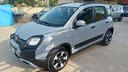 fiat-panda-1-0-firefly-s-s-hybrid-city-cross
